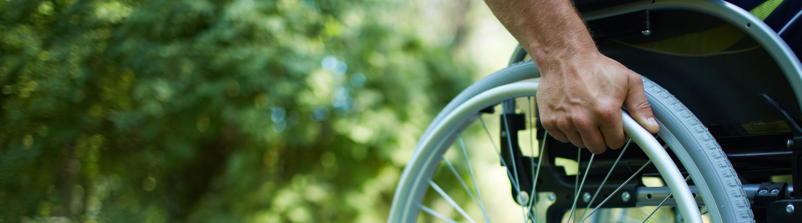 Discrimination / Harassment / Title IX / ADA