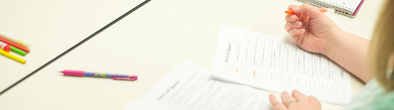 Strategic Plan